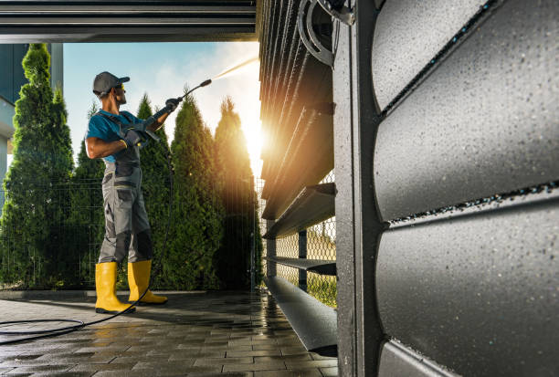Best Driveway Pressure Washing  in Hawi, HI